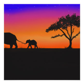 Pôster Noites do Serengeti