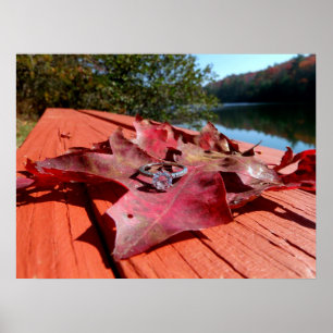 Poster Noivado Ring em Folha de outono