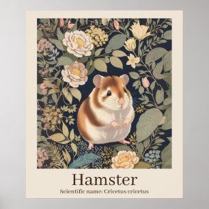Poster Nome Científico do Hamster Animal