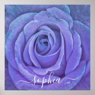 Poster Nome do Adicionar Foto do Flor de Rosa Elegante