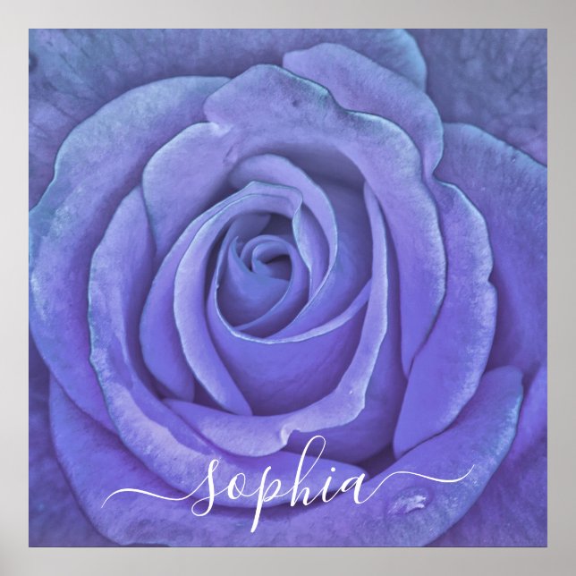 Poster Nome do Adicionar Foto do Flor de Rosa Elegante (Frente)