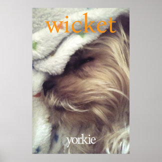 Poster Nome e Foto do Yorkie Laranja