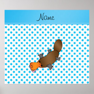 Pôster Nome personalizado platypus - estrelas brancas azu