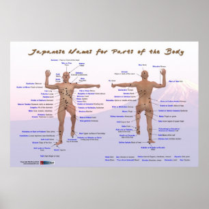 Poster Nomes japoneses para partes do corpo