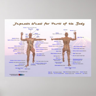 Poster Nomes japoneses para partes do corpo