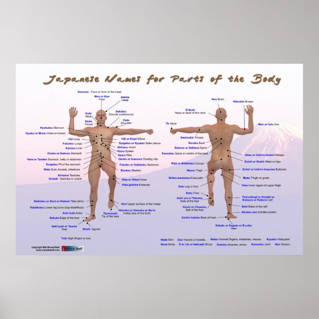 Poster Nomes japoneses para partes do corpo (Frente)