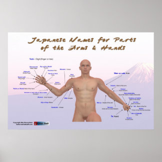 Pôster Nomes japoneses para partes dos braços e mãos