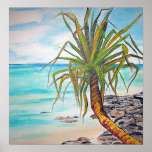 Pôster Noosa Pandanas