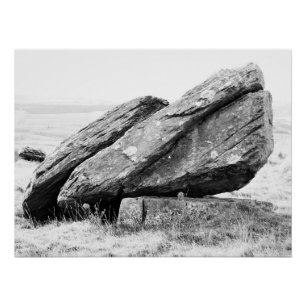 Pôster Norber Erratic Poster