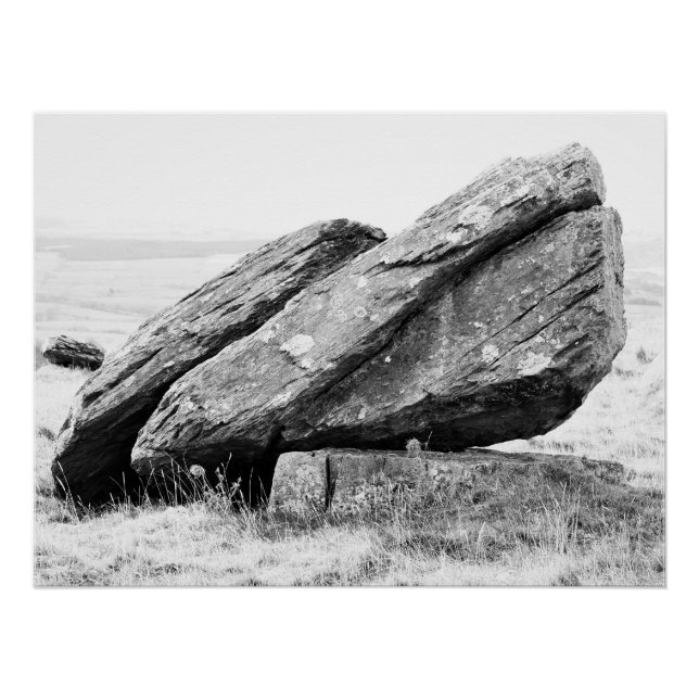 Pôster Norber Erratic Poster (Frente)