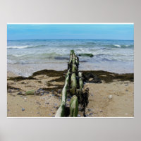 Normandy Beach