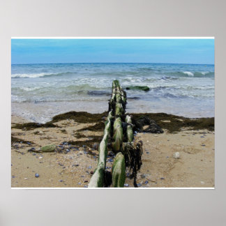 Pôster Normandy Beach