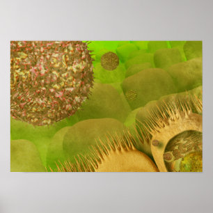 Pôster Noroviruses in the gastrointestinal tract