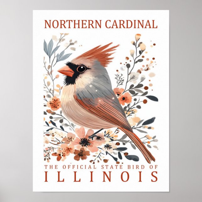 Poster Norte Cardinal Viagem de Illinois EUA (Frente)
