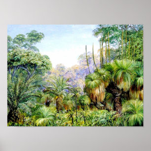 Poster Norte - cena florestal na Austrália Ocidental