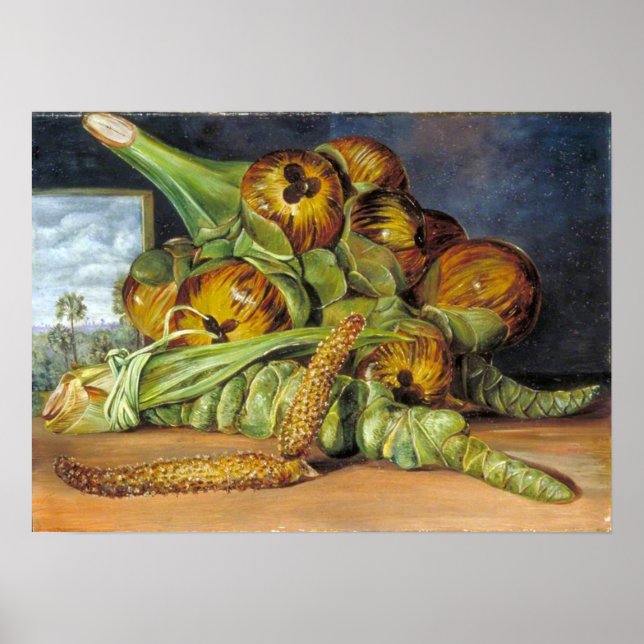 Poster Norte - Flores, Fruta, Palmira, Java 1870 (Frente)