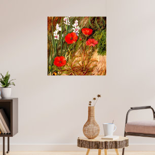 Poster Norte - Um Sol Sul-Africano