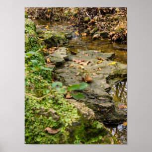 Poster Norte Veste Creek Rock Bed