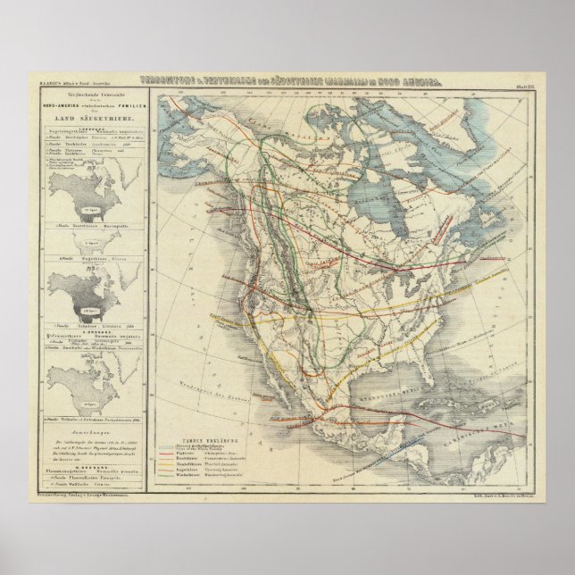 Poster North America 33 (Frente)