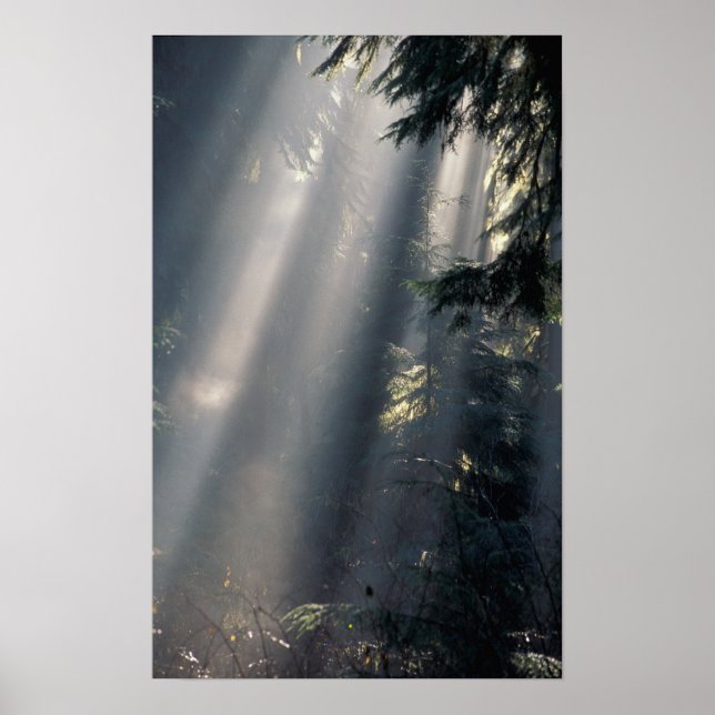 Poster North America, USA, Washington, Olympic NP, (Frente)