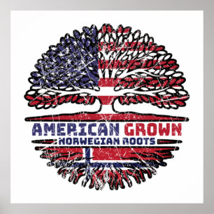 Poster Noruega Noruega EUA EUA EUA EUA Estados Unidos