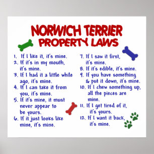 PÔSTER NORWICH TERRIER PL2