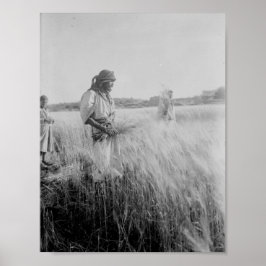 Poster Nos campos de Boaz em Belém