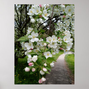 Poster Nos Galhos das Flores