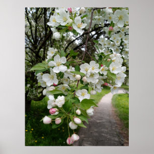 Poster Nos Galhos das Flores