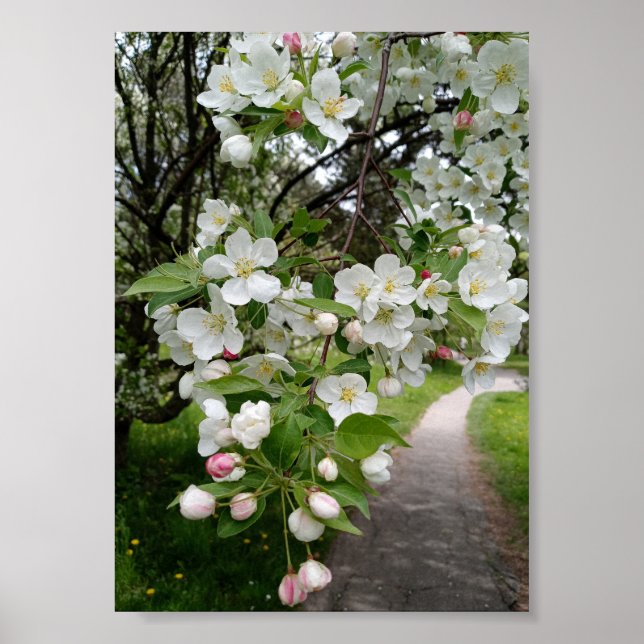 Poster Nos Galhos das Flores (Frente)