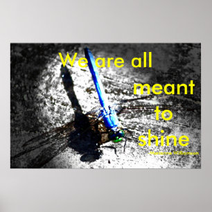 Pôster Nós todos somos significados brilhar