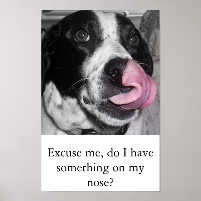 Poster Nose Job (Frente)