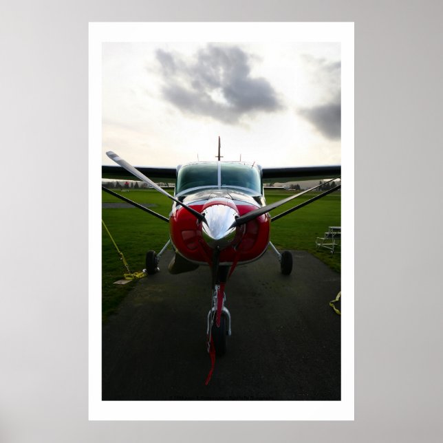 Poster Nose Shot (Frente)