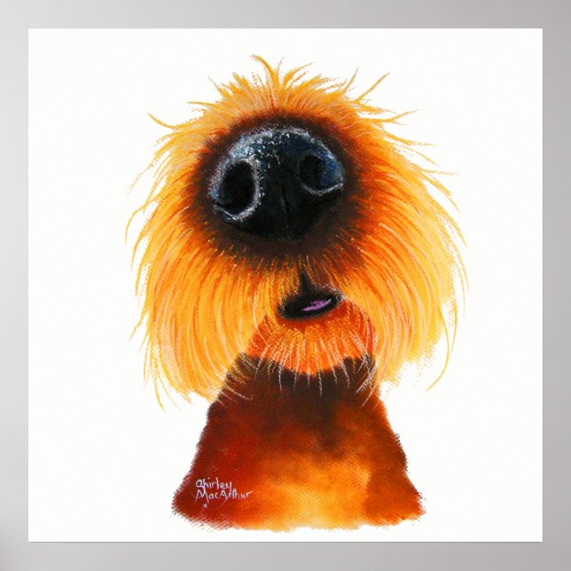 Pôster Nosey Dog ' SMELLS LiKe SuNSHNe ' de Shirley Mac (Frente)