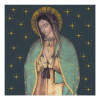 Nossa Senhora de Guadalupe Virgem Maria Poster Bri