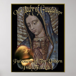 Poster Nossa senhora do Patroness de Guadalupe do por