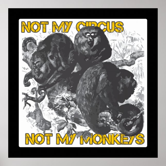 Pôster Not my Circus, Not my Monkeys (Frente)