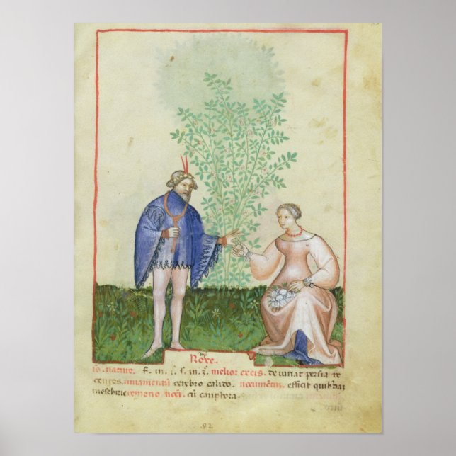 Pôster Nouv Acq LatRoses, de Tacuinum Sanitatis (Frente)