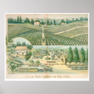 Pôster Nouveau Medoc Vineyard and Wine Cellars (1213A)