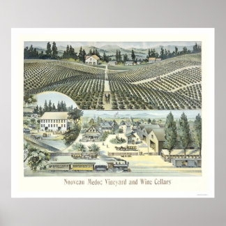 Poster Nouveau Medoc Vineyard e Vinhas Células