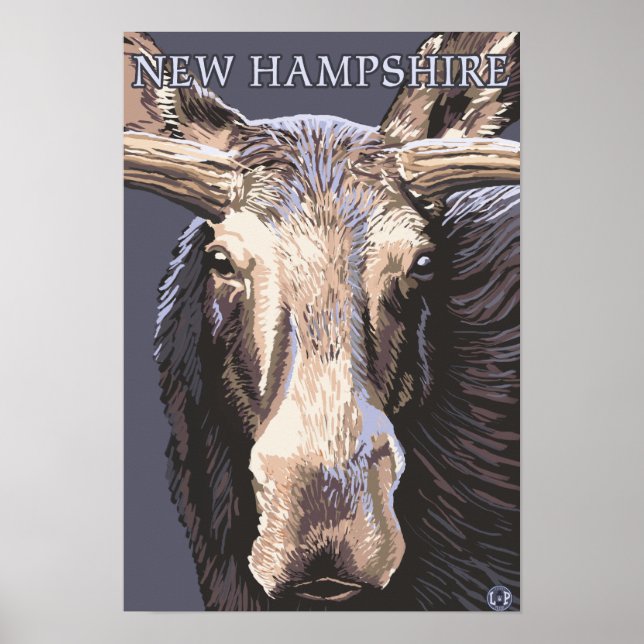 Pôster Nova HampshireMoose Aproximada (Frente)