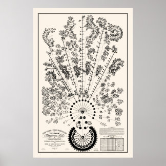 Poster Nova Iorque e Erie Railroad Org - Leve - Contorno