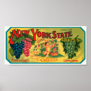Pôster Nova Iorque Seneca Lake Graphics Vintage Crate La