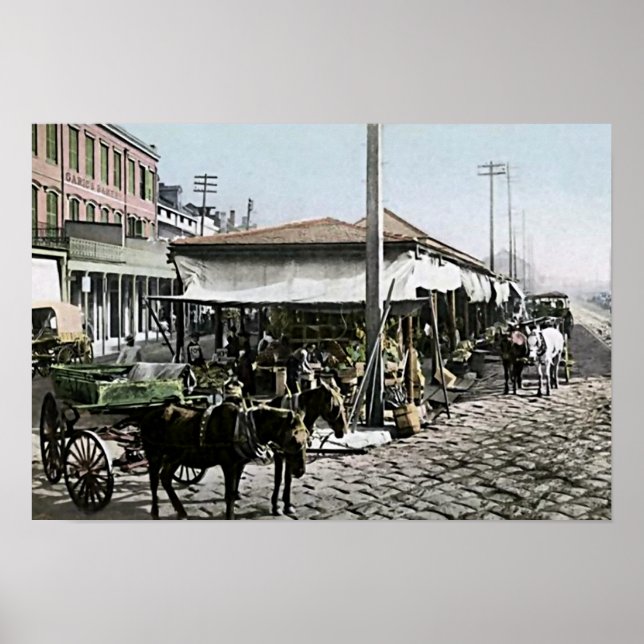 Poster Nova Orleans, Louisiana (Frente)