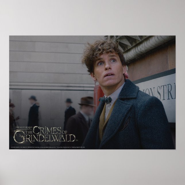 Poster NOVA SCAMANDER™ Em Londres Foto (Frente)