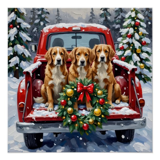 Pôster Nova Scotia Duck Tolling Retriever Christmas Red (Frente)