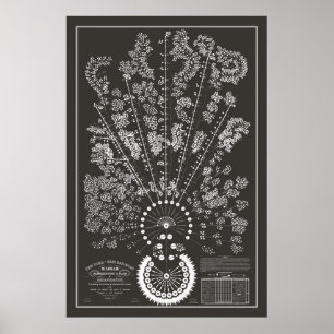 Poster Nova York e Erie Railroad Org - Escuro - Contorno