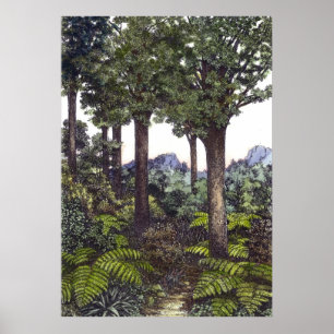 Pôster Nova Zelândia Bush, por Lynda Vugler