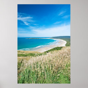 Poster Nova Zelândia, Ilha do Sul, Catlins, Baía de Tau