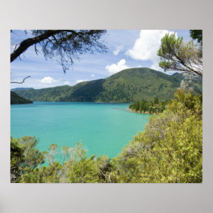 Poster Nova Zelândia, Ilha do Sul, Marlborough Sounds.